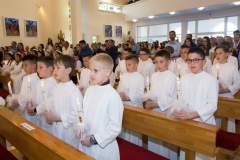 FB_IMG_1651413717578
