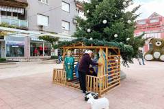 IMG_20211201_150105_001