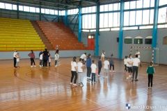 handball-in-12