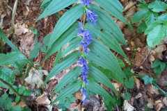 IMG-20231003-WA0012