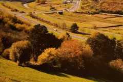 IMG-20231003-WA0014