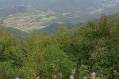 IMG-20231003-WA0017