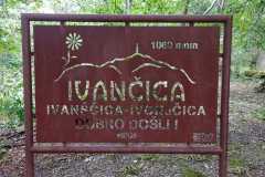 IMG-20231003-WA0018