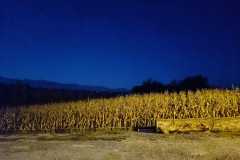 IMG-20231003-WA0021