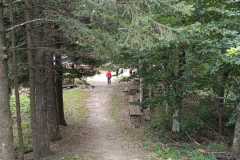 IMG-20231003-WA0027