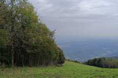 IMG-20231003-WA0029