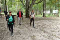 IMG-20231003-WA0030
