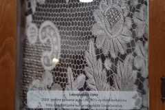 IMG-20231003-WA0031