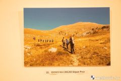 hpd-gledavac-7