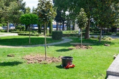 Gradski-park-3