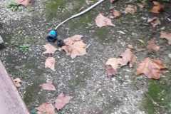 IMG-20211206-WA0019