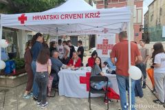 crveni-kriz-8