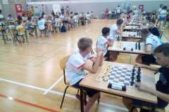 IMG-20220808-WA0008