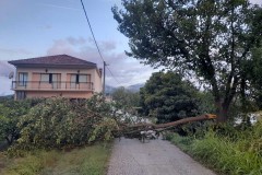 Ulica-Lovre-Matica-na-Kladi-Nevrijeme-slomilo-stablo-2