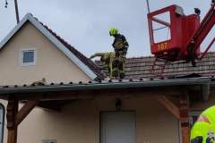 FB_IMG_1610217211693