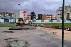 IMG_20240210_083350_163