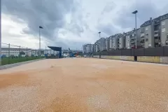 IMG_20240210_083350_337