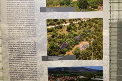 IMG-20220610-WA0058