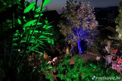 IMG_0876