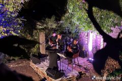 IMG_0916
