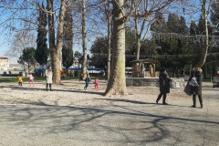 park-5