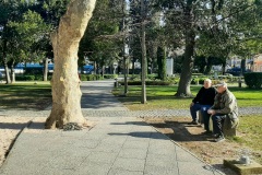 park-6