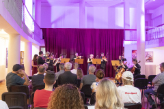 acoustic-project-strings-5
