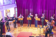 acoustic-project-strings-6