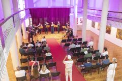 acoustic-project-strings-7