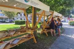 IMG-20230812-WA0012