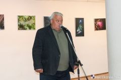podvodna-fotografija-9