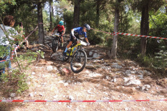 IMG-20240913-WA0007