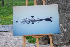 IMG_7630