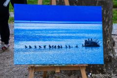 IMG_7635