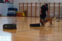IMG-20250515-WA0028