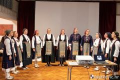 smotra-vlaho-paljetak-8