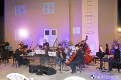 acoustic-2