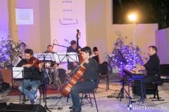 acoustic-4