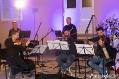 acoustic-5