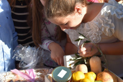 IMG-20241017-WA0034