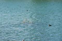 FB_IMG_1610999085403