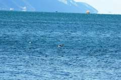 FB_IMG_1610999101035