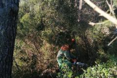IMG-20210118-WA0011