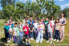 arheoloski-muzej-narona-5