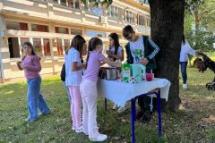 IMG_5337
