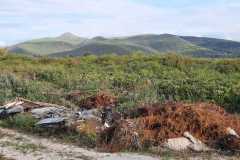IMG-20210918-WA0003
