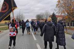 IMG-20211118-WA0047