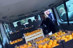 UOSI-Prijatelj-donacija-mandarina-3