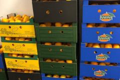 UOSI-Prijatelj-donacija-mandarina-5