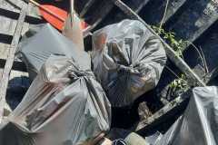 IMG-20230423-WA0012